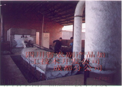 四川省農(nóng)副產(chǎn)品加工技術(shù)開(kāi)發(fā)公司成都分公司 豌豆淀粉渣烘干設(shè)備的技術(shù)開(kāi)發(fā)與應(yīng)用